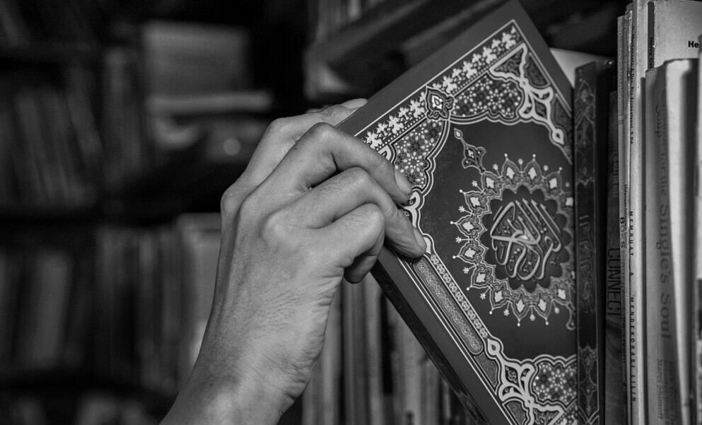 Quran Study 